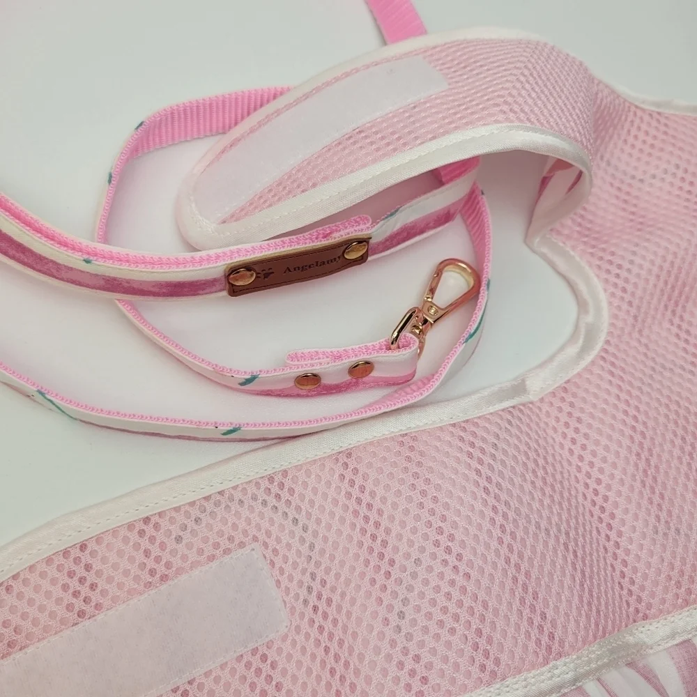 Dog harness with leash watermelon
